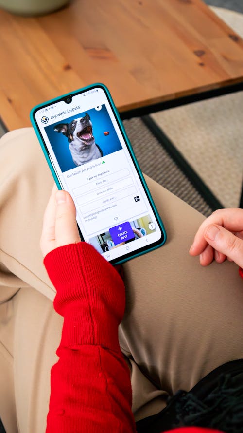 Person browsing a social wall on a smartphone and voting on an live poll