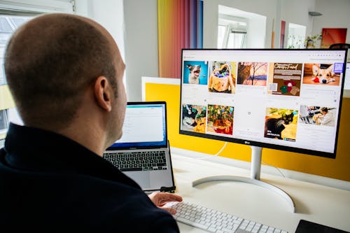 Person browsing a social wall on their computer and voting on an live poll