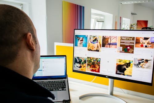 Person browsing a social wall on their computer and voting on an live poll