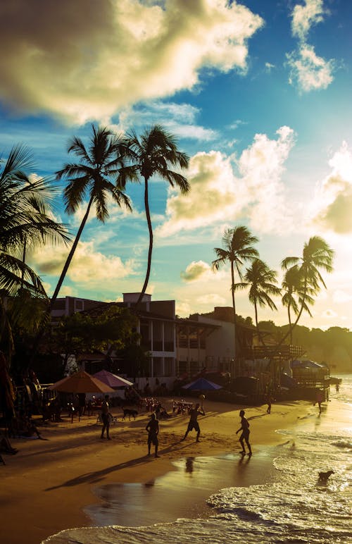 Бесплатное стоковое фото с закат, пляж, пор-ду-золь
