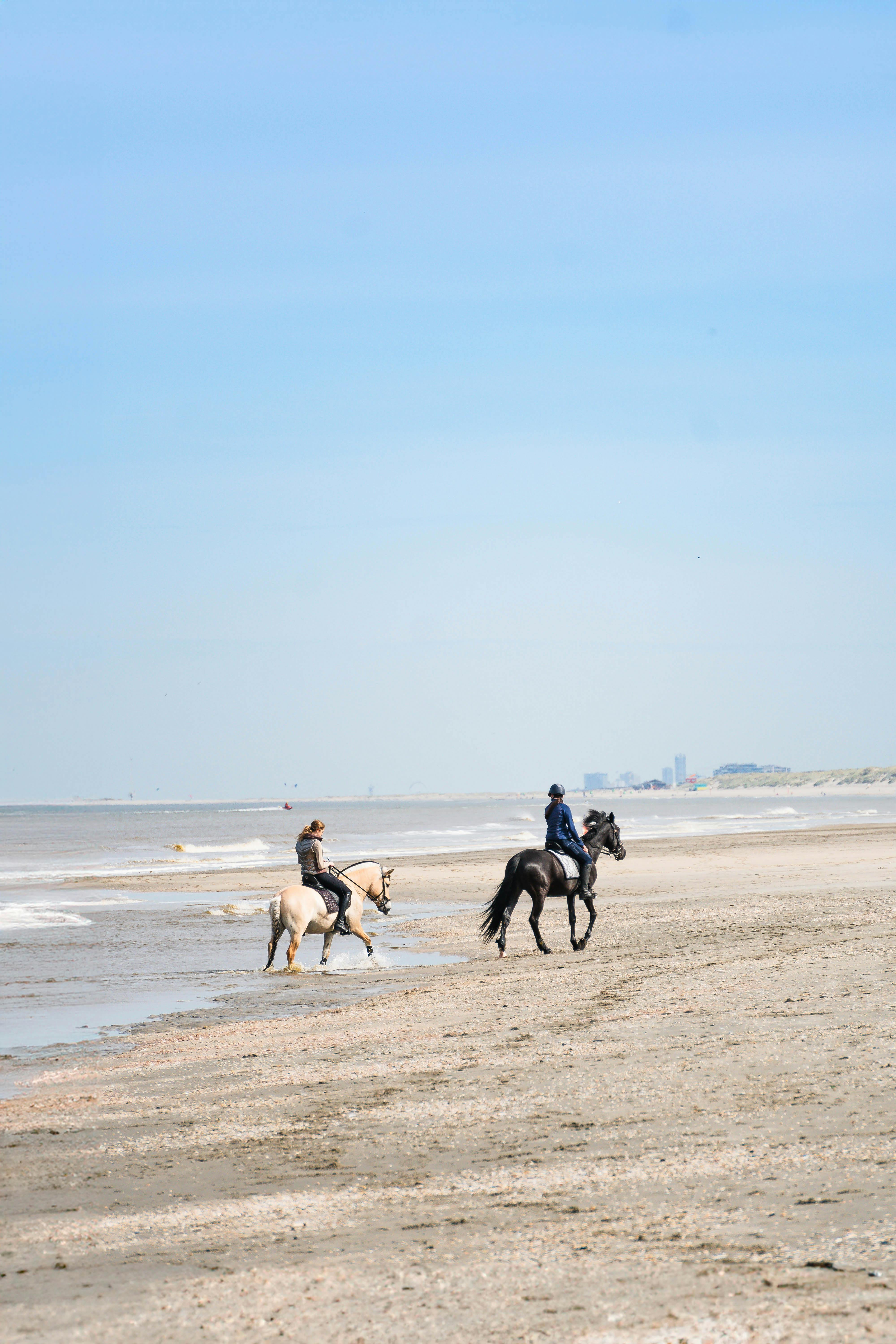 Two people riding horses on a sunny beach in Hoek van Holland, Netherlands.