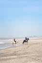 horse and beach 