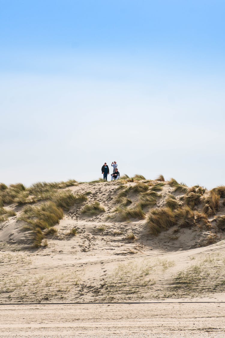 People Standing And Sitting On Hill On Beach