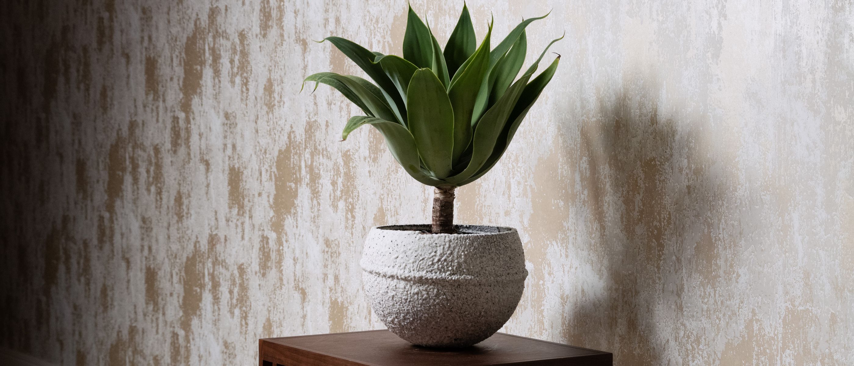 Wallpapering in Neasden — quality trade paint going on in two coats