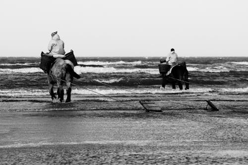 Foto profissional grátis de adulto, água, beira mar