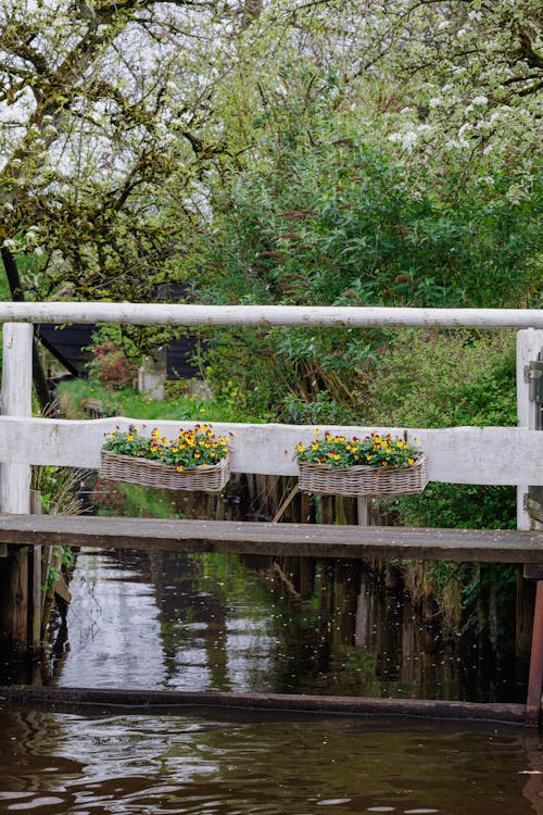 Free Giethoorn 🇳🇱 Stock Photo