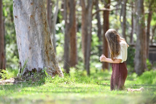 Безкоштовне стокове фото на тему «Вибірковий фокус, дерева, довге волосся»