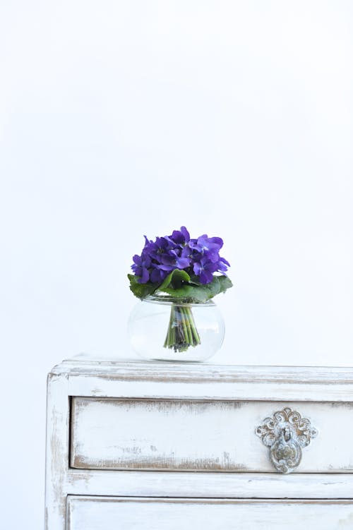 A vase with purple flowers on top of a dresser