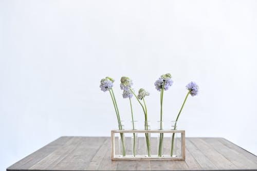 Three small vases filled with flowers on a wooden table
