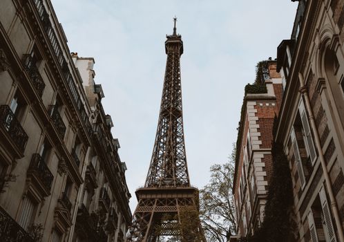 Belleville street art and local bistros — Paris