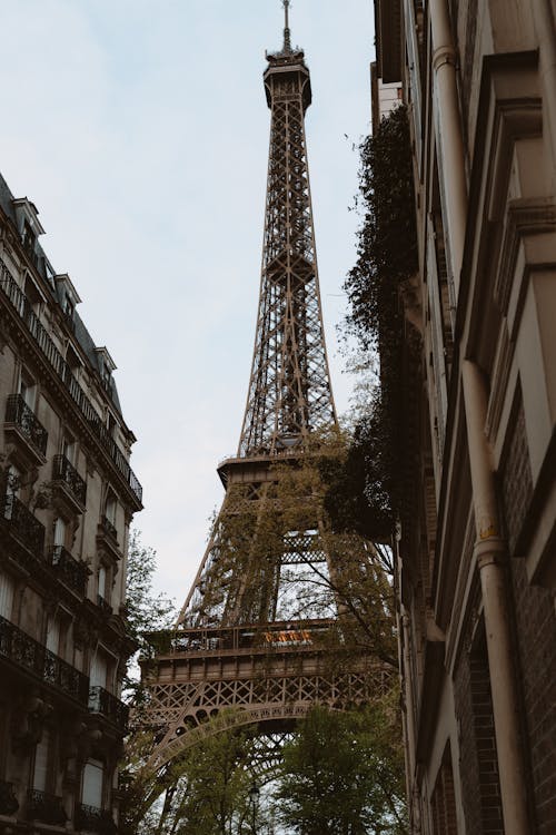 Demir, dikey atış, eiffel kulesi içeren Ücretsiz stok fotoğraf