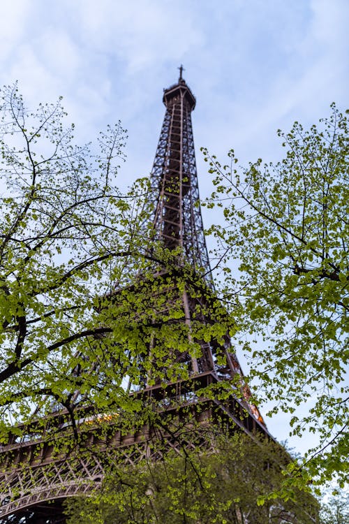 Free stock photo of eiffel tower, landmark, luxury