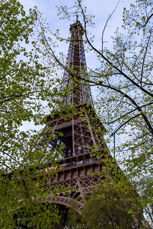 Fotobanka s bezplatnými fotkami na tému budova, Eiffelova veža, Francúzsko