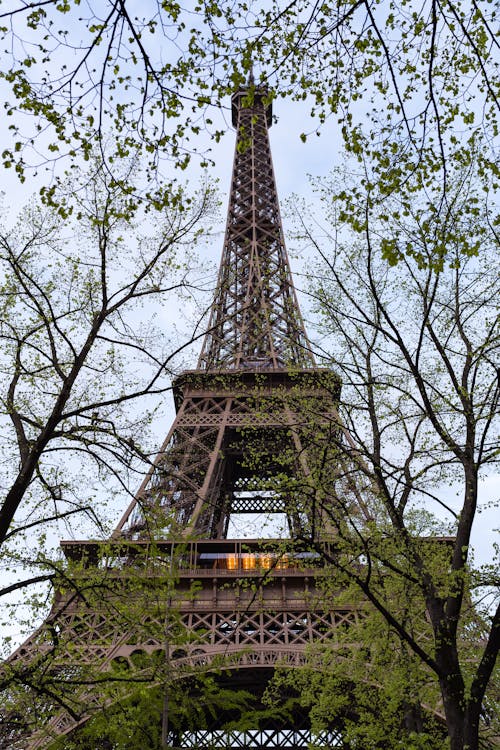 Ingyenes stockfotó Eiffel-torony, épület, fák témában