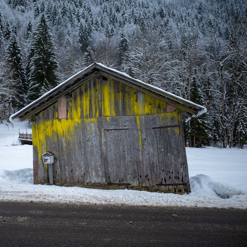 Imagine de stoc gratuită din abandonat, alpin, arbori