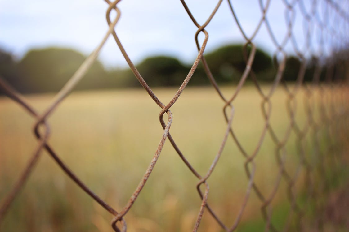 Free Brown Field Fence Stock Photo
