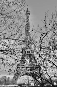 Artistic black and white capture of the Eiffel Tower framed by tree branches in Paris, France.