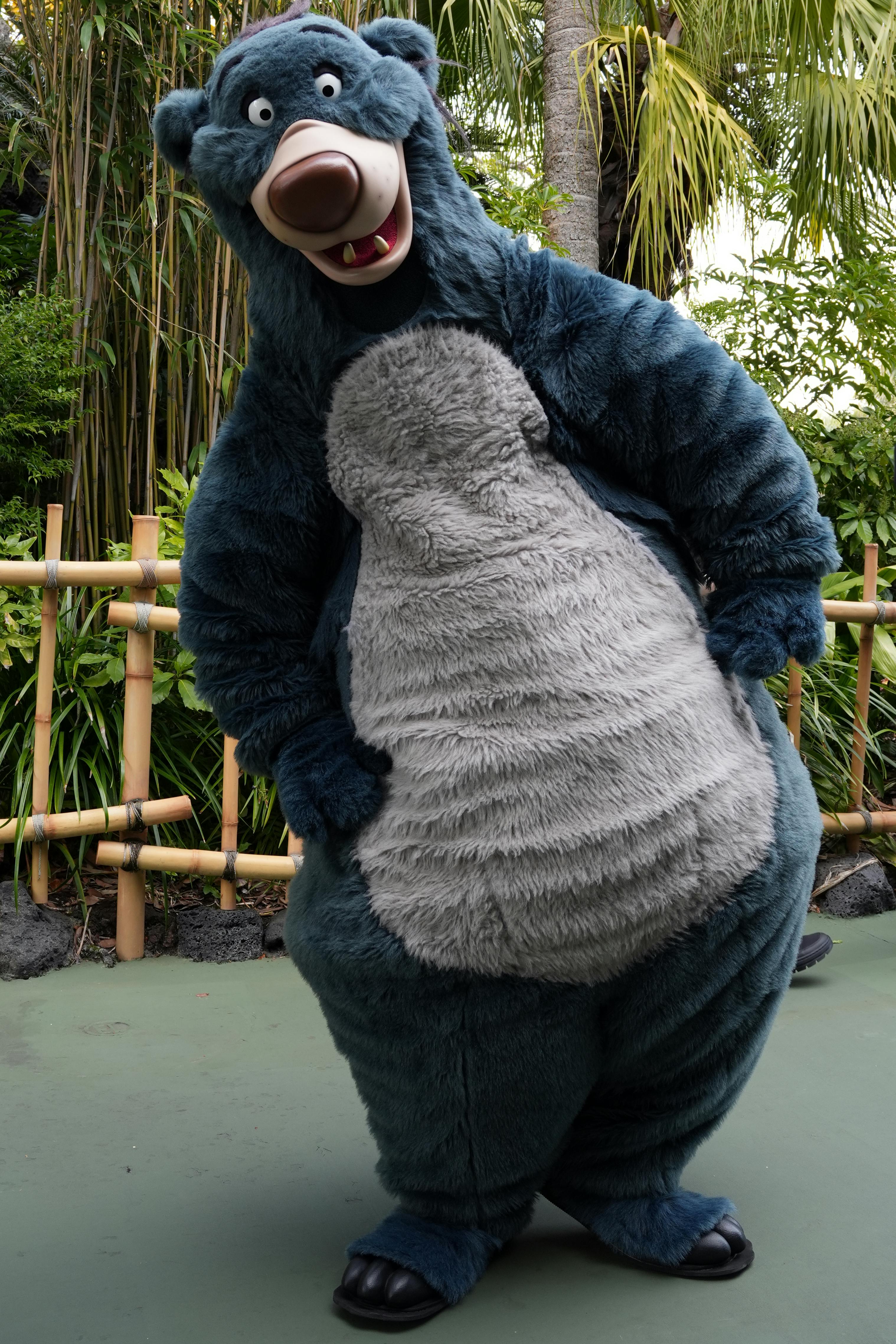 Baloo the bear costume hotsell