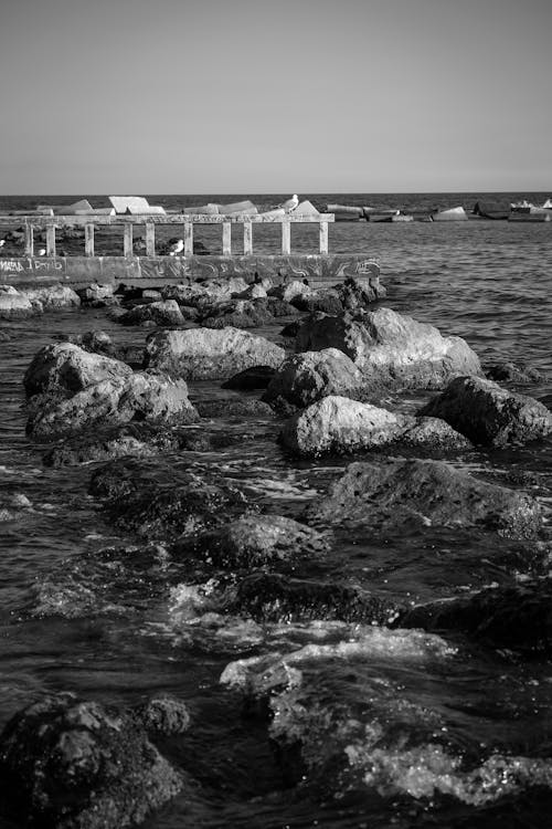 Foto d'estoc gratuïta de blanc i negre, cel clar, horitzó