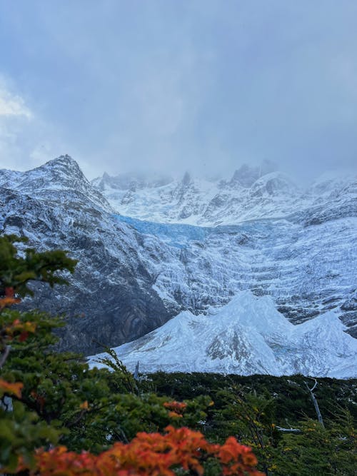 Ảnh lưu trữ miễn phí về bắn dọc, băng, chile