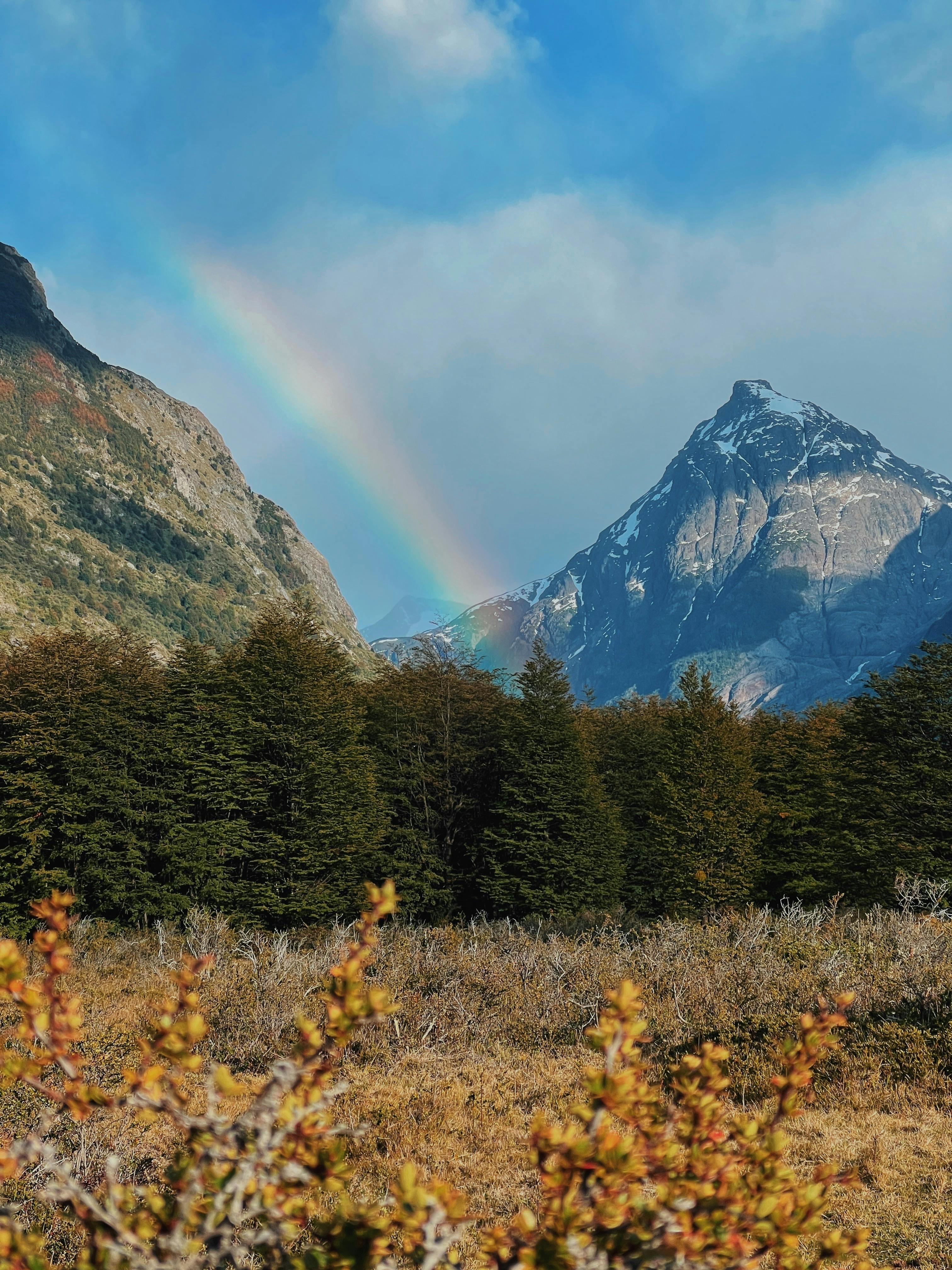 Dramatic mountain scenery features a vivid rainbow above lush forests.