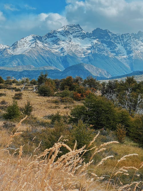 ağaçlar, arazi, dağlar içeren Ücretsiz stok fotoğraf