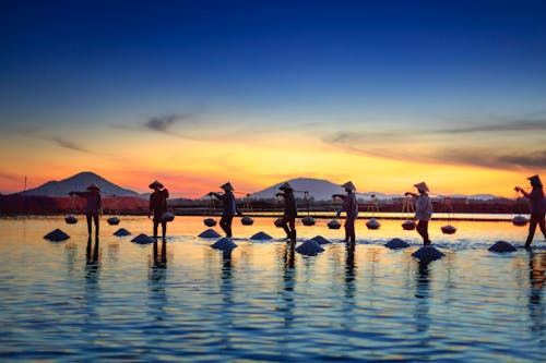 People Carrying Basket Standing on Body of Water during Golden Hour