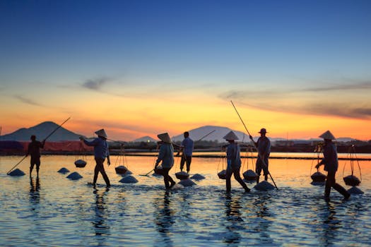 日落时分，农民们在宁静的水景中收割盐，身影在充满活力的余晖下映成剪影