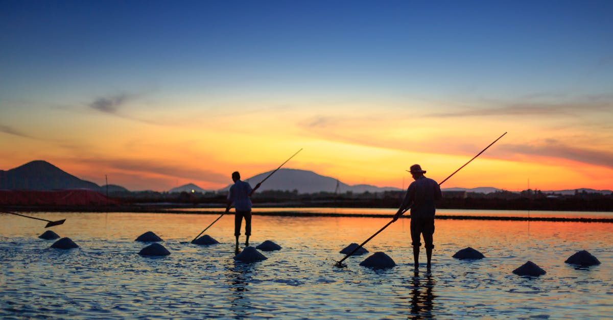 Inside the Lake Fishing Landscape: A 2025 Overview