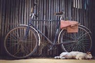 一辆老式自行车靠在质朴的木栅栏旁，底座上趴着一只睡觉的狗