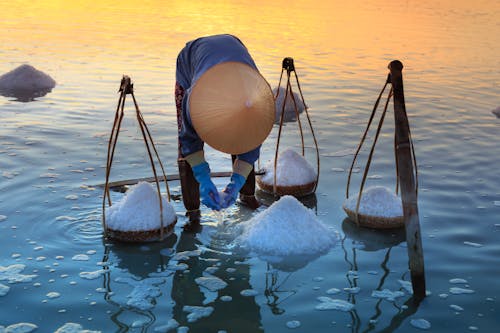 Free Person Collecting Salt on Body of Water Stock Photo