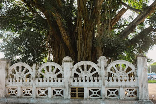 A white fence with ornate designs around it
