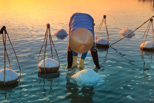 Man Harvesting Salt