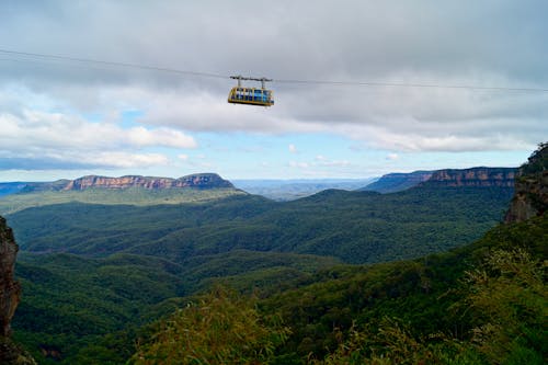 Free White Zip Line Bus Above on Green Leaved Trees Stock Photo