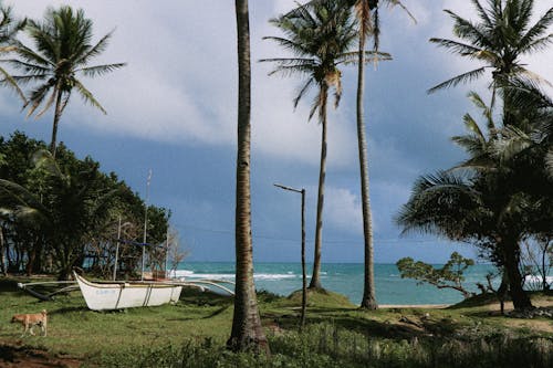 Pantai Tropis