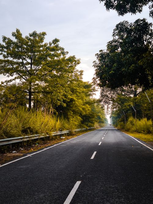 Free A serene road through lush trees in Khatauli, India during autumn. Stock Photo