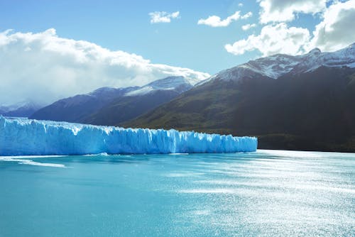 Základová fotografie zdarma na téma Argentina, fjord, hora