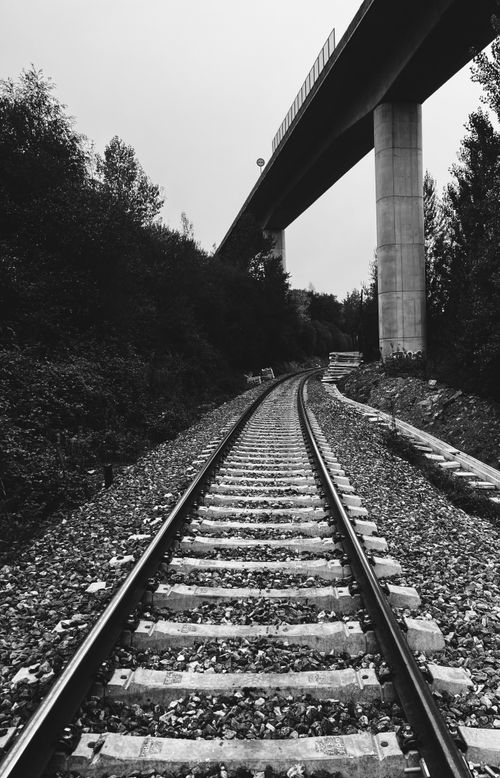 Free Monochrome perspective of railway tracks leading under a bridge in a serene, wooded area. Stock Photo