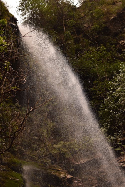 Free Waterfall in a Jungle  Stock Photo