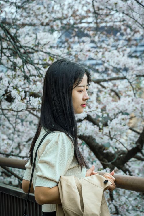 Free Asian woman enjoying the cherry blossoms in spring, standing peacefully outdoors. Stock Photo