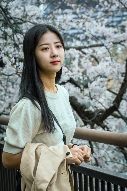 Free Asian woman standing by a cherry blossom tree in a Japanese park, enjoying springtime. Stock Photo