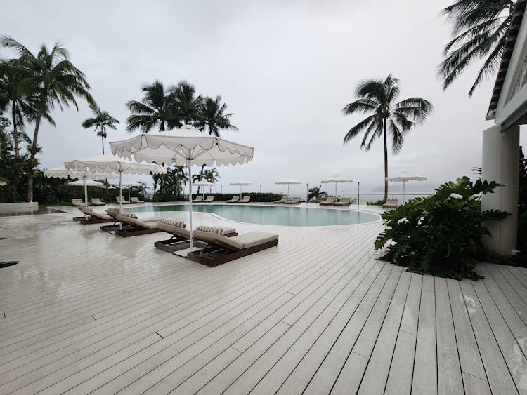 Palm Trees On A Terrace Of A Mansion 