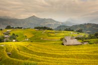 以山脉为背景的美丽梯田，展现了亚洲乡村的风景