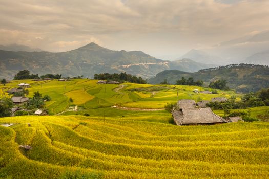 以山脉为背景的美丽梯田，展现了亚洲乡村的风景