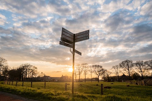 Closeup Photography of Street Sign