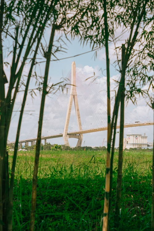 Fotobanka s bezplatnými fotkami na tému cestovať, Čína, guangzhou