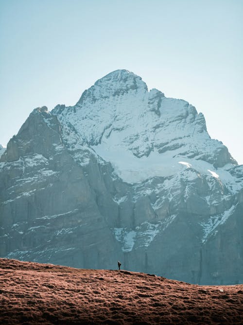 Free A person walking on a grassy hill with a mountain in the background Stock Photo