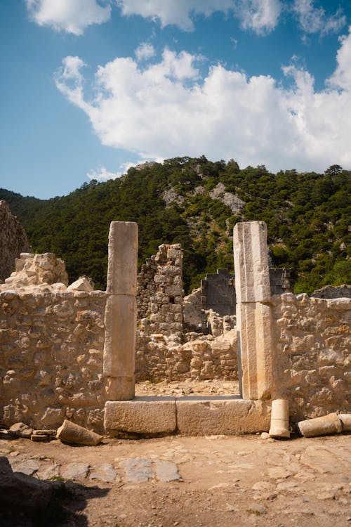 Foto d'estoc gratuïta de antic, arbres, història