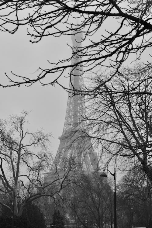 Black and white photo of the eiffel tower in the fog