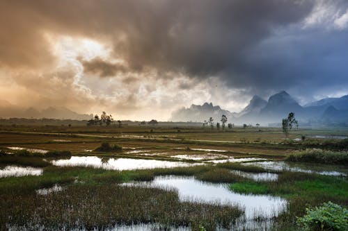 Campo Verde Bajo Una Nube Negra